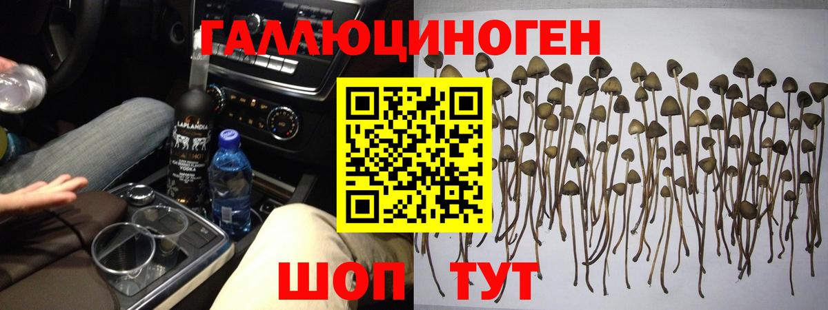 Меф   Кушва  Конопля  MDMA  Вход с VPN  A PVP СОЛЬ кристаллы  Гашиш 