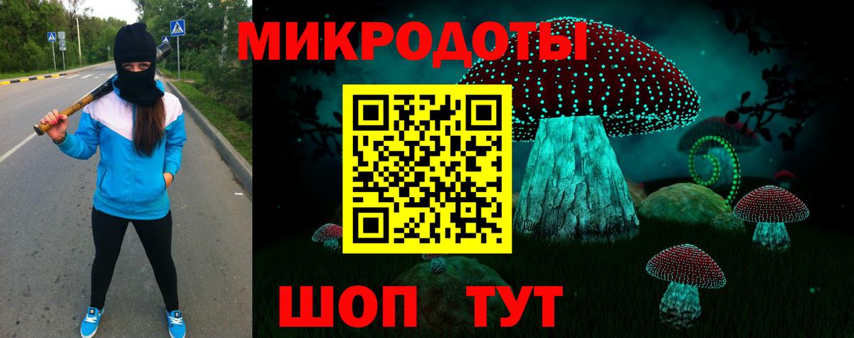 Псилоцибиновые грибы мицелий Кушва